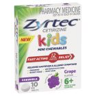 Zyrtec Kids Allergy & Hayfever Chewable Tablets Grape 10 Pack