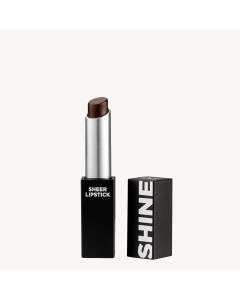 Designer Brands Limited Edition Sheer Shine Lipstick Taste of Honey